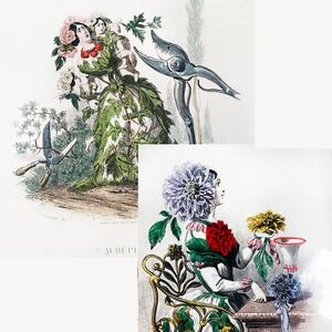 Vintage Art Prints Dahlia‎ Aubepine Matted Flowers Surrealism Floral Hawthorne